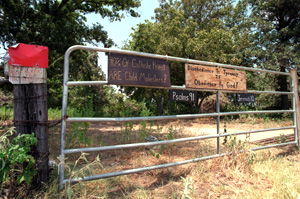 Gray property gate